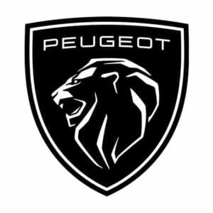 Peugeot Högtalare